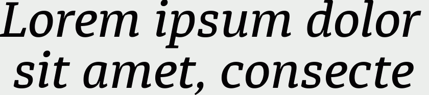 Diaria Pro Medium Italic