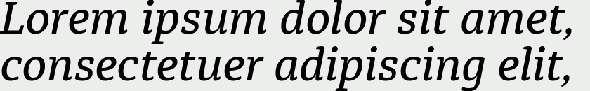 Diaria Pro Medium Italic