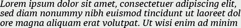 Diaria Pro Medium Italic