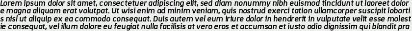 Korpo Alt Sans bold italic