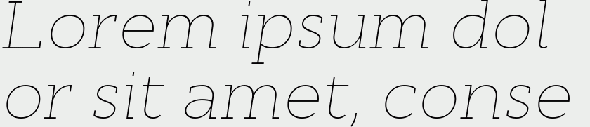 Cyntho Slab Pro Thin Italic