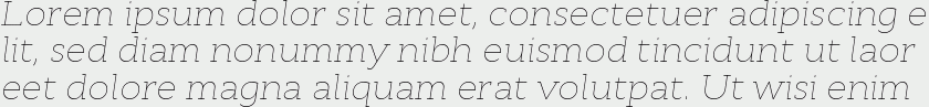 Cyntho Slab Pro Thin Italic