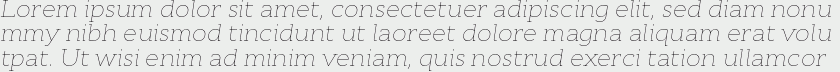 Cyntho Slab Pro Thin Italic