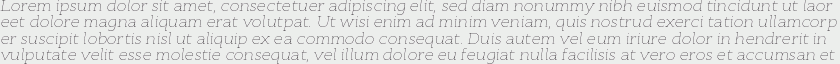 Cyntho Slab Pro Thin Italic