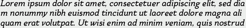 Xcetera bold italic