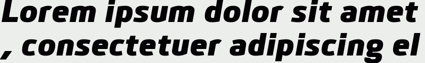 Bitner Heavy Italic