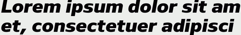 Nauman Heavy Italic