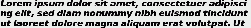 Nauman Heavy Italic