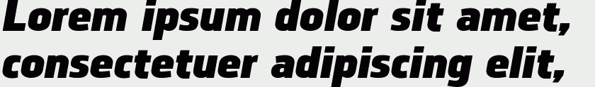 Norpeth Black Italic