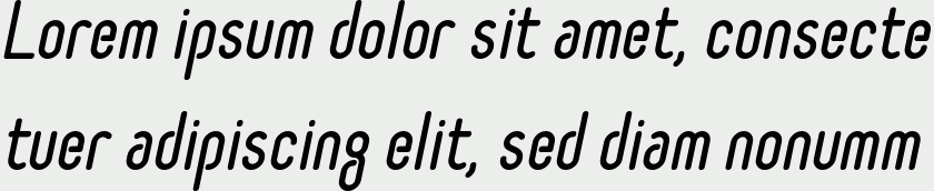 Selecta bold italic