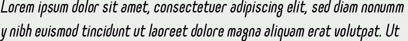 Selecta bold italic