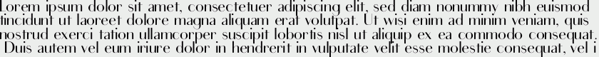 Sans Serif Didot