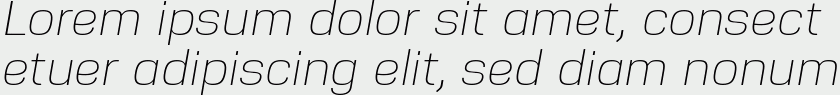 Nuber Light Italic