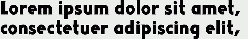 DualBrain