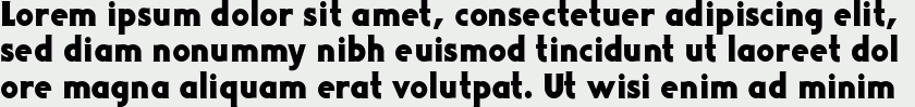 DualBrain