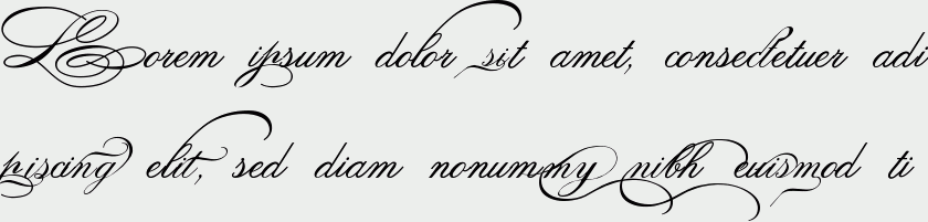 Spencerian Palmer Penmanship PRO