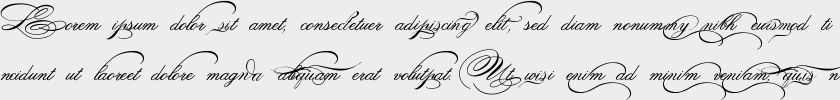 Spencerian Palmer Penmanship PRO