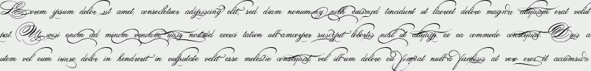 Spencerian Palmer Penmanship PRO