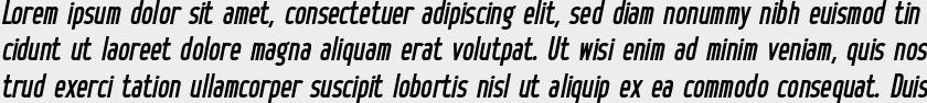Hinton Bold Italic