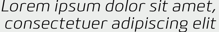 Bitner Italic