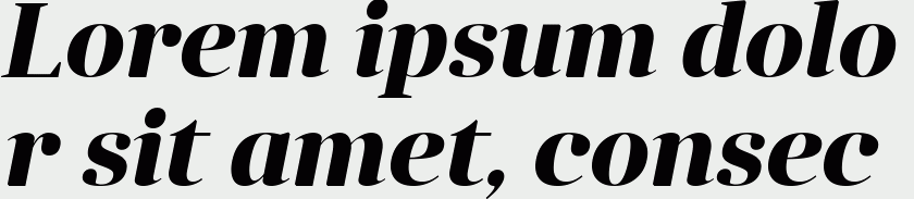 Anglecia Pro Display Bold Italic