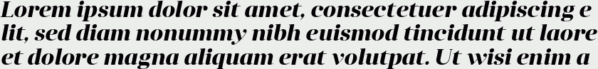 Anglecia Pro Display Bold Italic