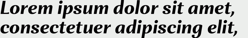 Orchidea Pro Bold Italic