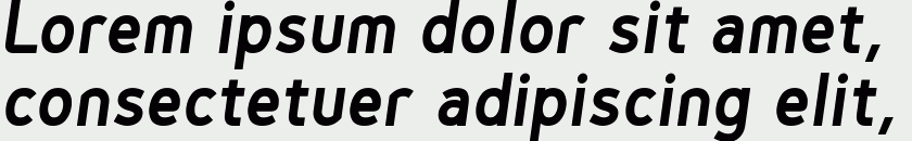 Genius Bold Italic