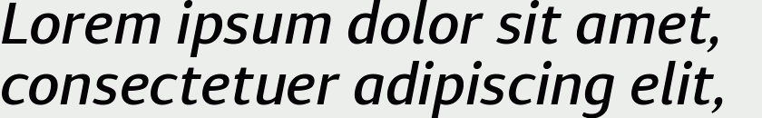 Diaria Sans Pro Medium Italic