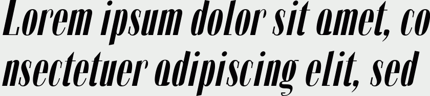 Zabatana Poster Italic