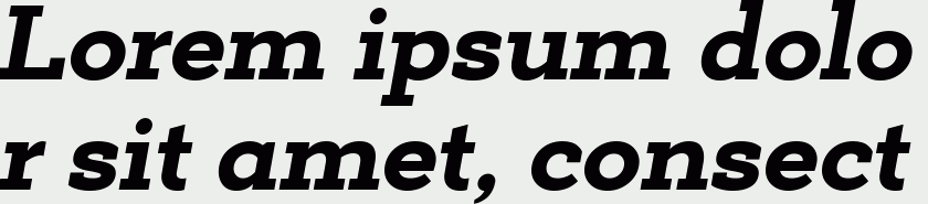 Deposit Pro ExtraBold Italic