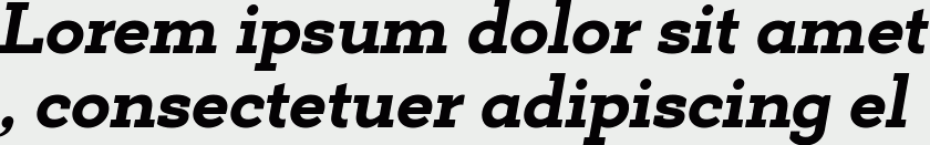 Deposit Pro ExtraBold Italic