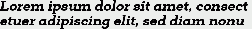 Deposit Pro ExtraBold Italic