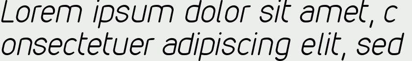 VDS Thin Italic