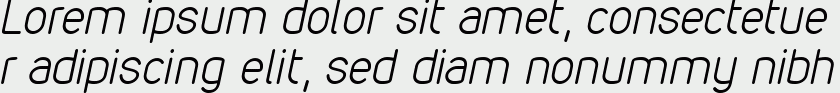 VDS Thin Italic