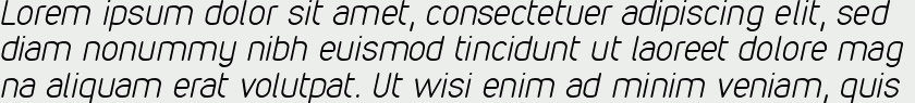 VDS Thin Italic