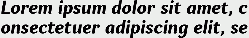 Espuma Pro Bold Italic