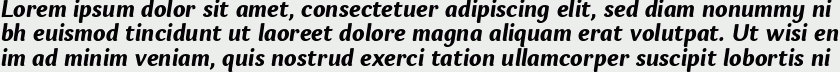 Espuma Pro Bold Italic