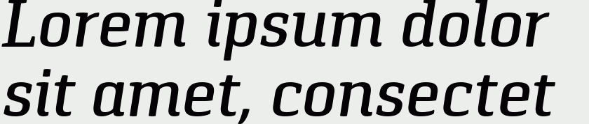 Pancetta Serif Pro Medium Italic