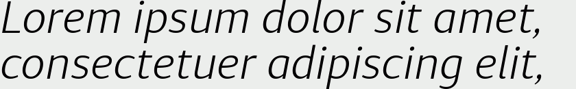 Diaria Sans Pro Light Italic