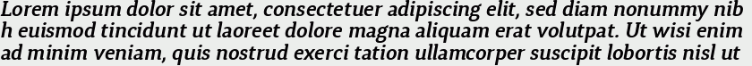 Synerga Pro SemiBold Italic