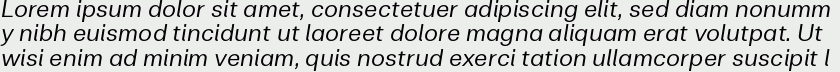 Clinica Pro Italic