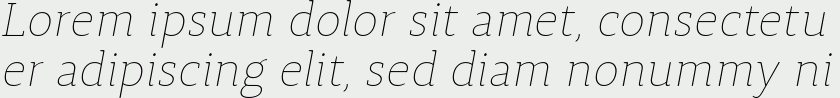 Synerga Pro Thin Italic