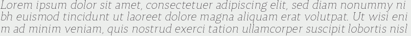 Synerga Pro Thin Italic