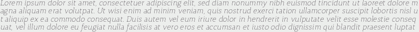 Synerga Pro Thin Italic
