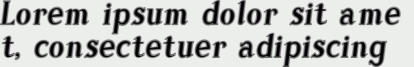 Sonten Contour-Italic