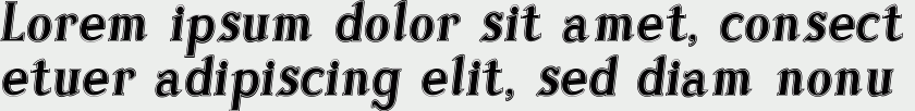 Sonten Contour-Italic