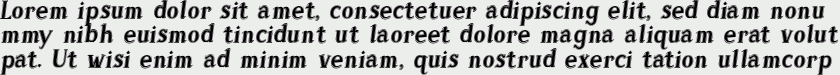 Sonten Contour-Italic