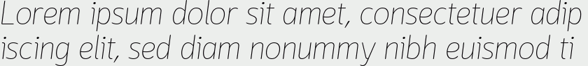 Lounge Thin Italic