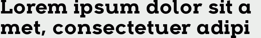 Arkibal Serif Bold